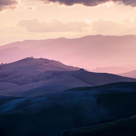 Podere Orto Wine Country House Trevinano Zewnętrze zdjęcie