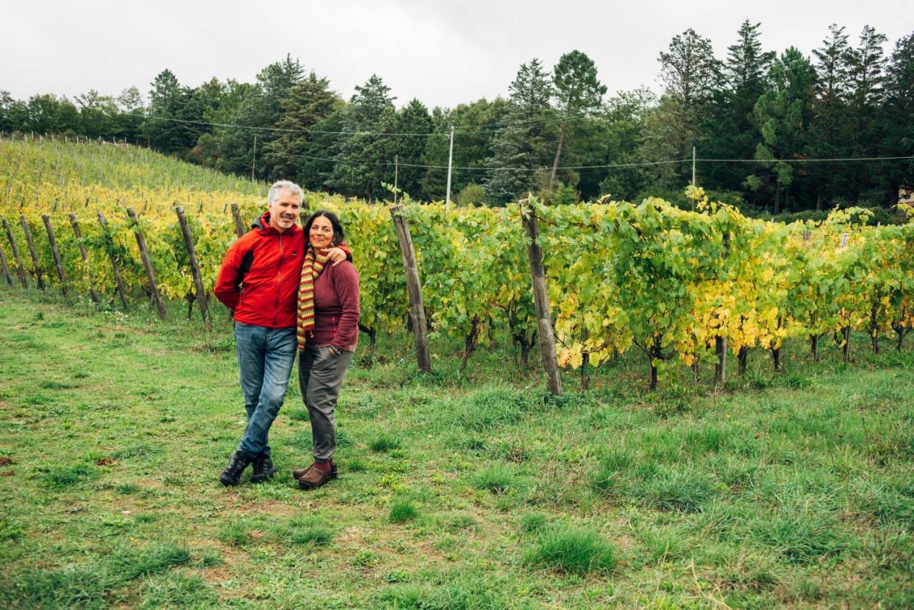 Podere Orto Wine Country House Trevinano Zewnętrze zdjęcie