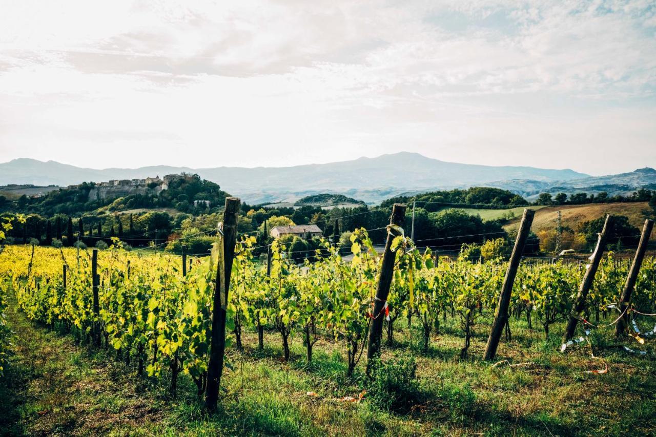 Podere Orto Wine Country House Trevinano Zewnętrze zdjęcie