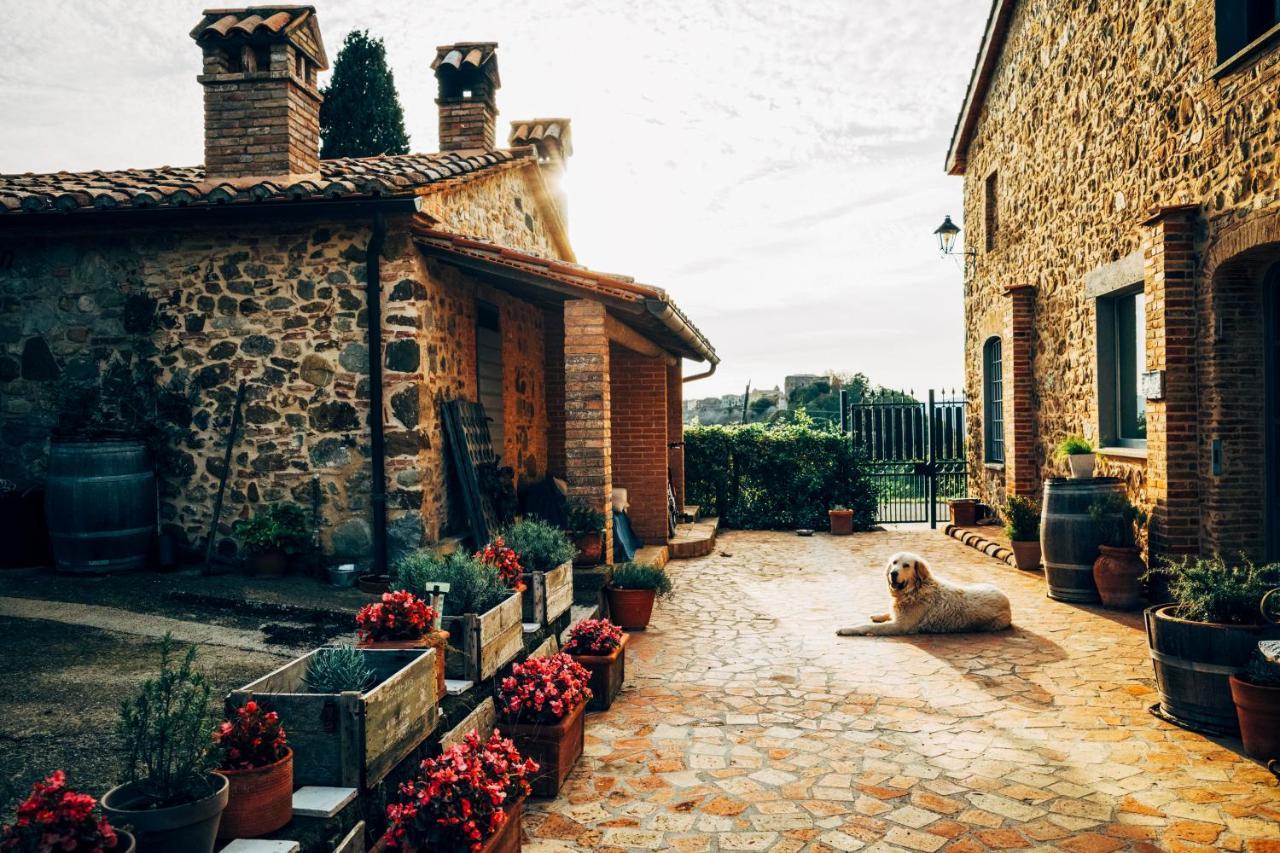 Podere Orto Wine Country House Trevinano Zewnętrze zdjęcie