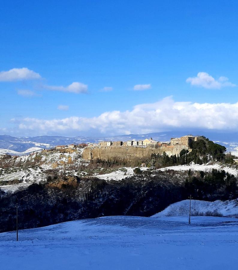 Podere Orto Wine Country House Trevinano Zewnętrze zdjęcie