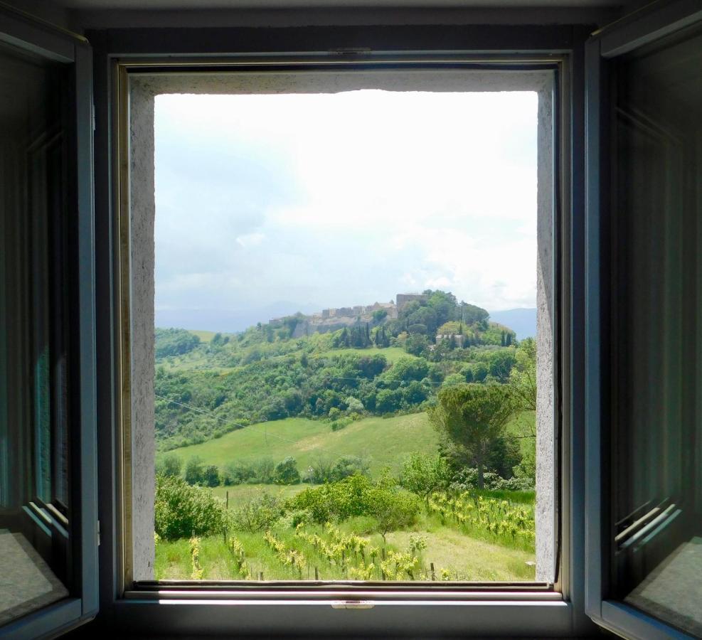 Podere Orto Wine Country House Trevinano Zewnętrze zdjęcie