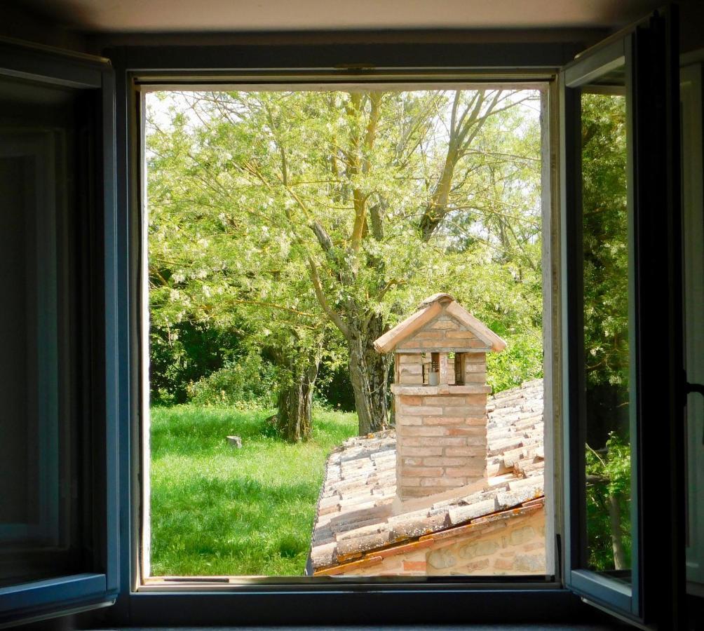 Podere Orto Wine Country House Trevinano Zewnętrze zdjęcie