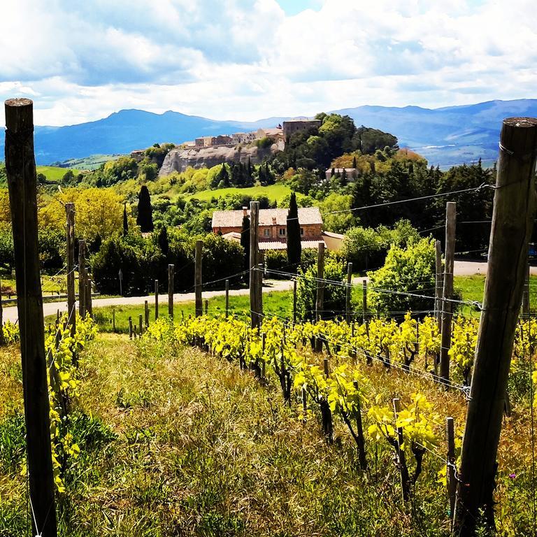 Podere Orto Wine Country House Trevinano Zewnętrze zdjęcie