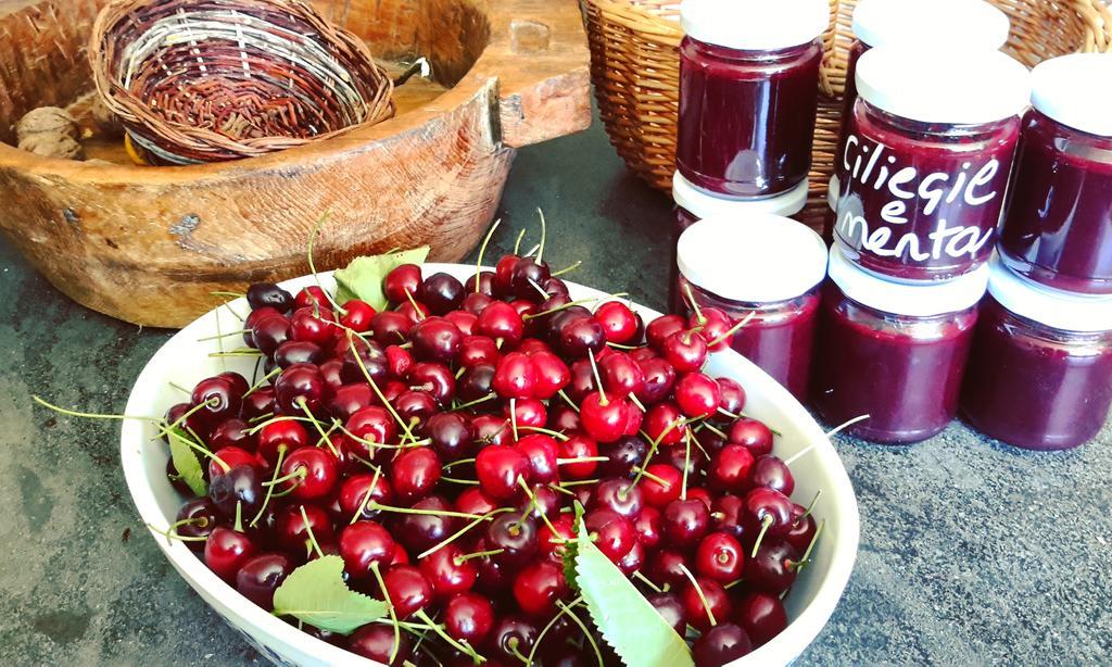 Podere Orto Wine Country House Trevinano Zewnętrze zdjęcie